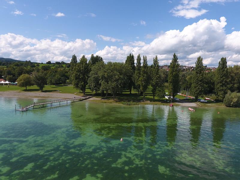 Feriencamp in Vorarlberg an einem grüner See, umgeben von Wald