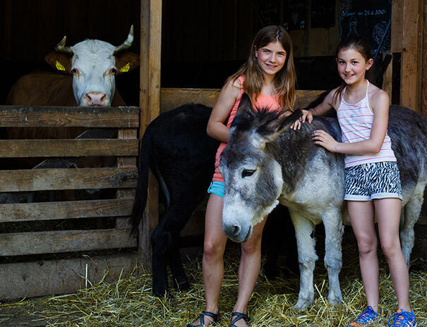  Zwei Mädchen kuscheln mit einem Esel bei dem Reiturlaub Tirol 