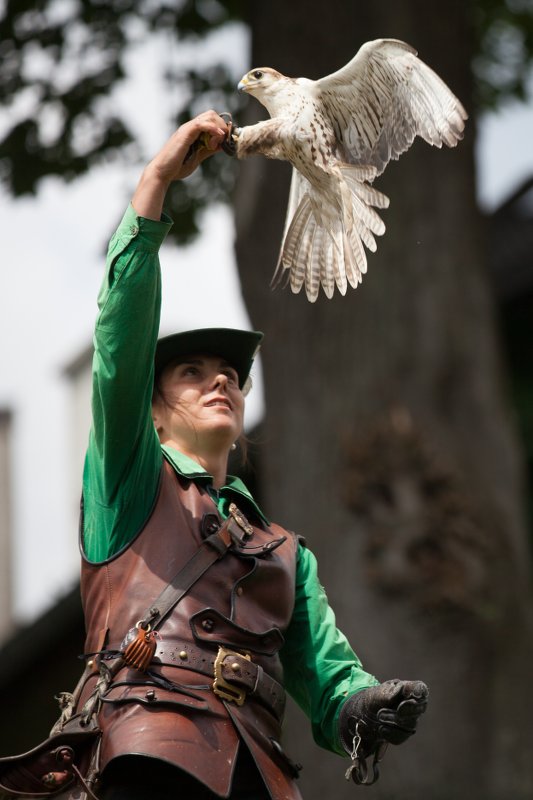 Greifvogel Show im Abenteuerurlaub Kinder