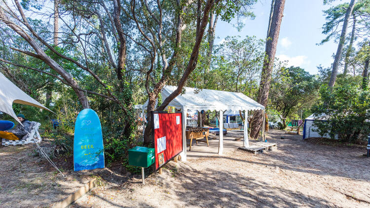 Infotafel und Surfbrett auf der Surffreizeit