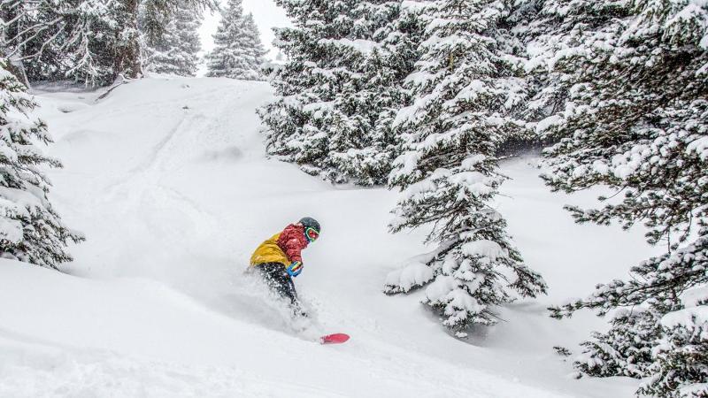 Sowboarder im Tiefschnee im Ferienlager in Tirol
