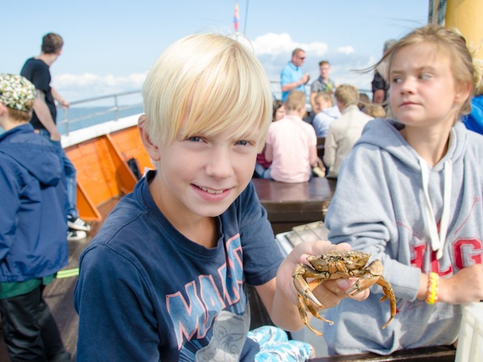 Junge mit Krabbe im Sommercamp auf Sylt