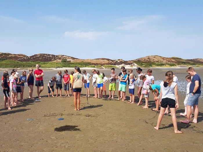 Wattwandern im Sommercamp auf Sylt
