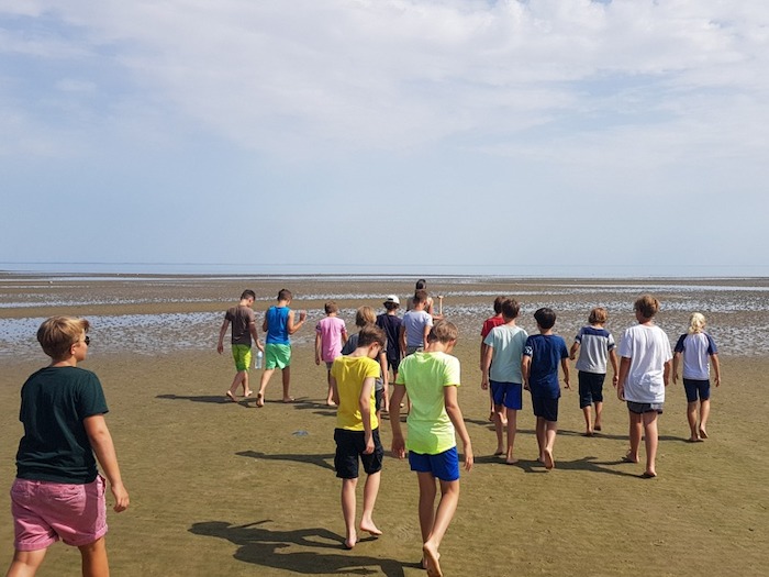 Kinder bei der Wattwanderung im Sommercamp auf Sylt