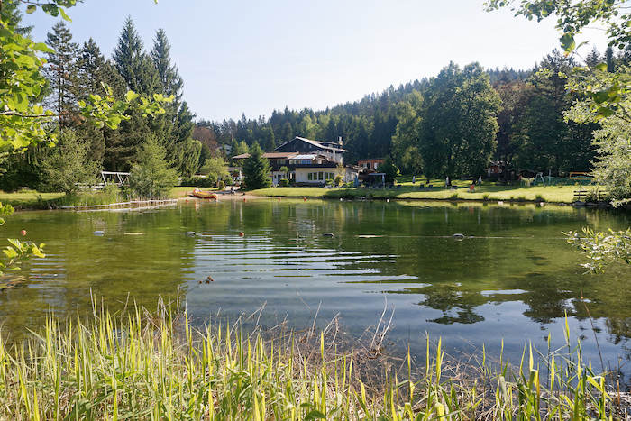 Teich vor der Unterkunft auf der Jugendreise Kärnten