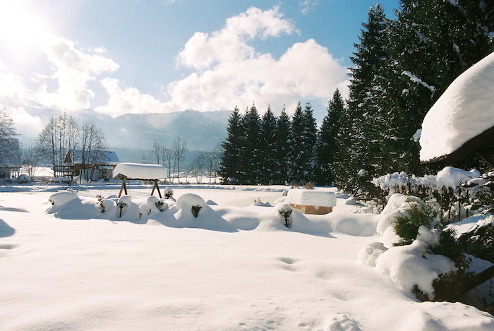 Aussicht über die Alpen im Skilager in Österreich