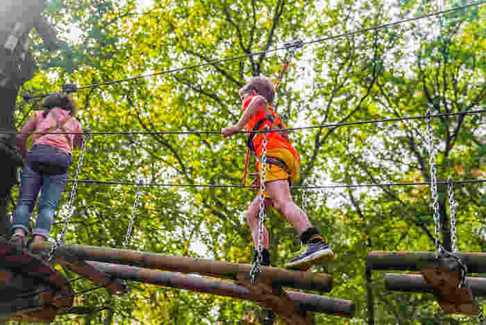Kinder klettern im Hochseilgarten im Sport Feriencamp