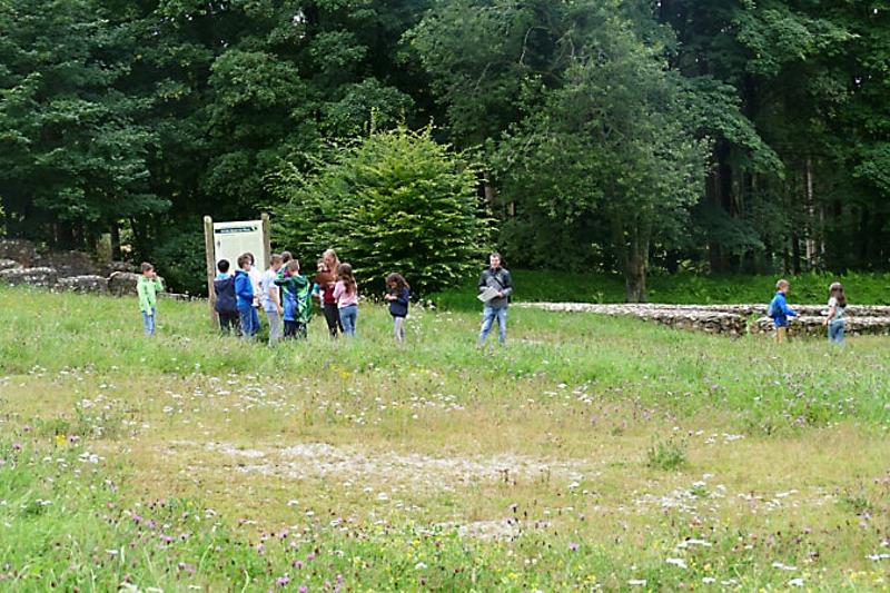 EnglischCamp im Schwarzwald Ostern Juvigo