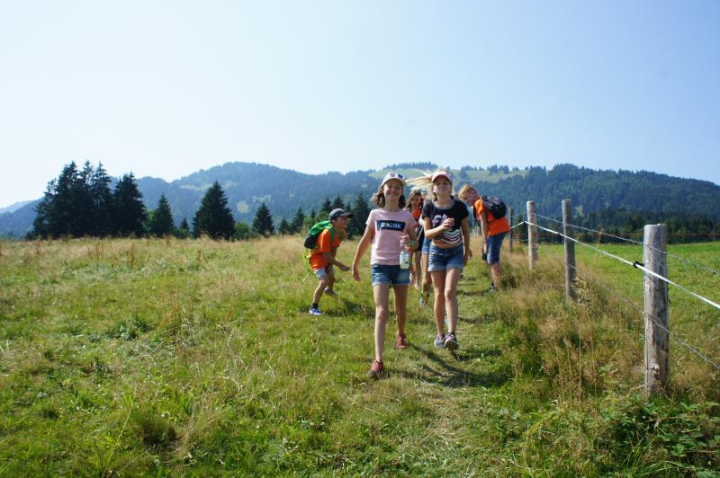Wandern über die Wiese im Sprachcamp Englisch