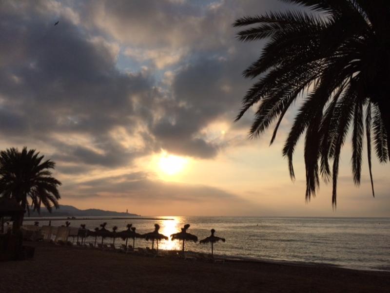 Strand und Palmen bei Sonnenuntergang bei den Sprachreisen für Jugendliche