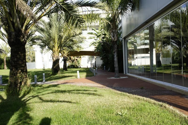 Garten im International Summer Camp