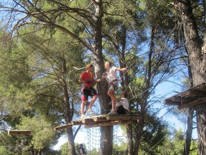 Teilnehmer klettern im Hochseilgarten auf der internationalen Schülersprachreise Frankreich