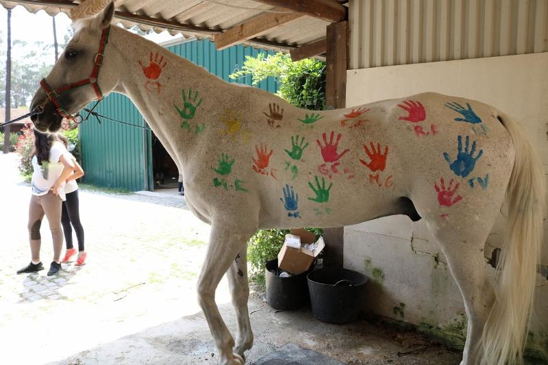 Kinder der Juvigo Reiterferien haben ihren Handabdruck auf ein Pferd gemalt