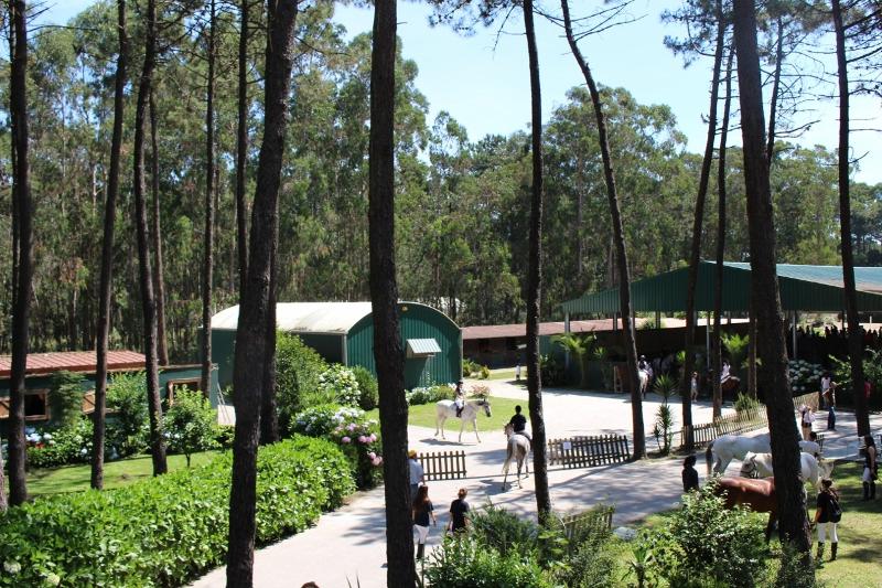 Campgelände in den internationalen Reiterferien Portugal