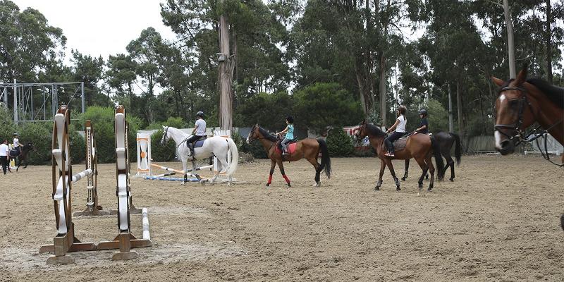Die Teilnehmer des Juvigo Reiturlaubes trainieren das Springreiten