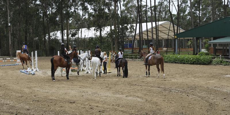 Springreiten Unterricht in den internationalen Reiterferien Portugal