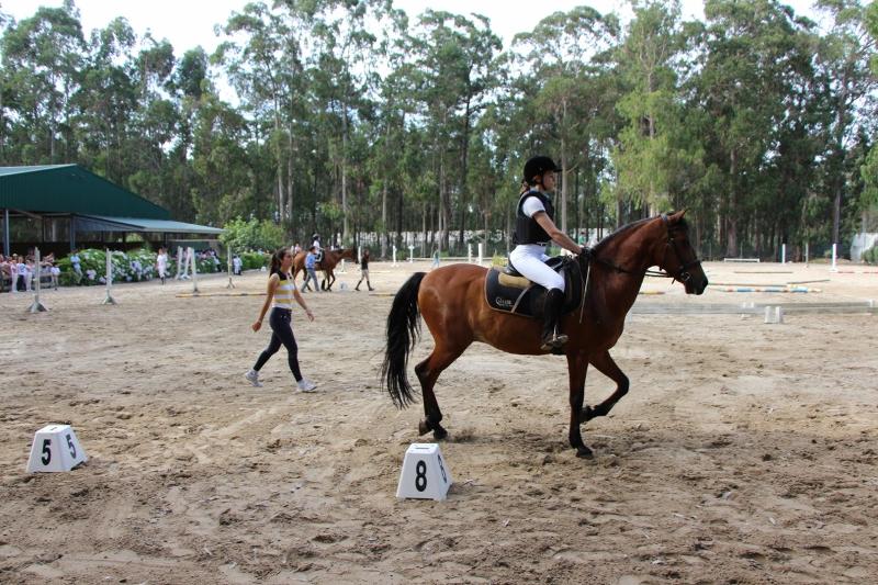 Ein Mädchen von den Juvigo Reitferien reitet auf einem braunen Pferd