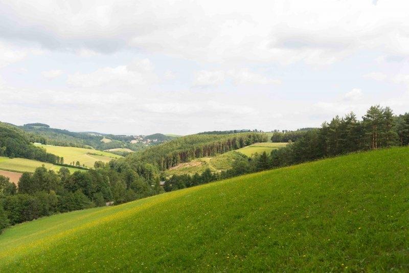 Grüne Hügel im niederländischen Industrieviertel im Ferienlager Niederösterreich