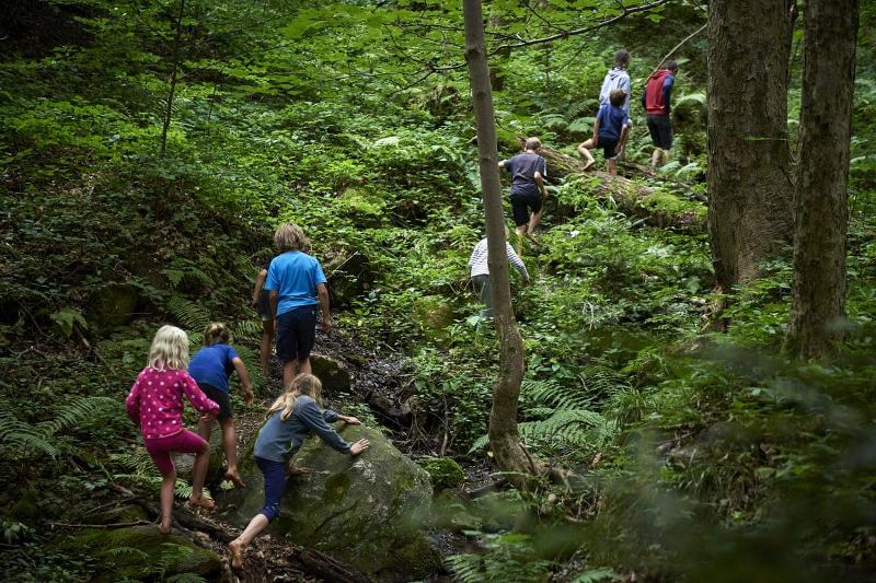Kinder bei einer Bach-Wanderung durch den Wald