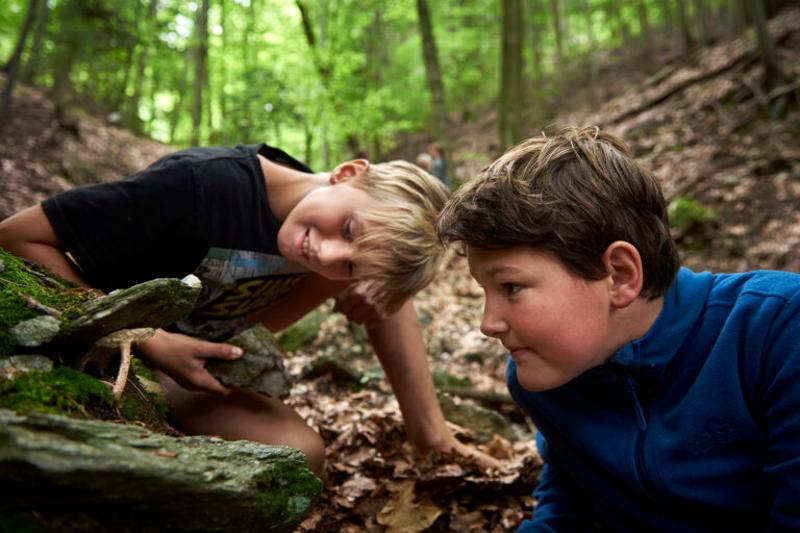 Zwei Jungen beobachten einen Baumpilz im Wald 