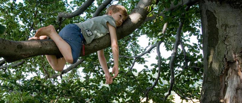 Ein Junge des Offline-Camps liegt auf einem Ast und sieht entspannt aus