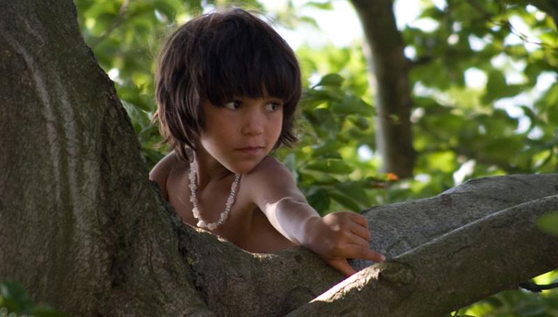 Junge sitzt im Baum im Abenteuerurlaub Kinder Österreich