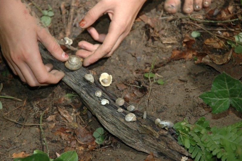 Schnecken sammeln im Abenteuerurlaub Kinder Österreich