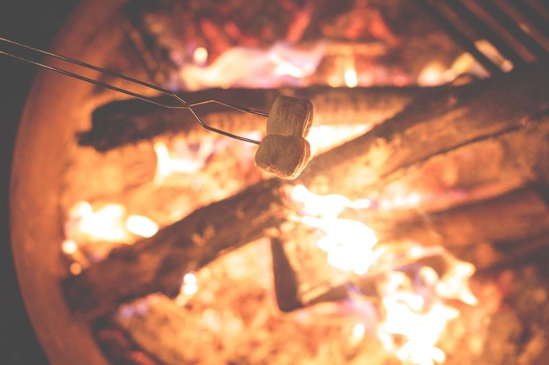 Kinder halten ihre Marshmallows übers Feuer Kinder Feriencamp