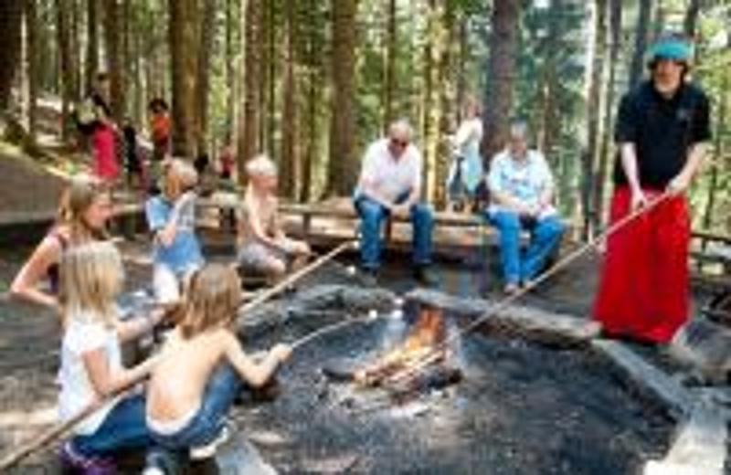 Kinder grillen am Lagerfeuer ihr Stockbrot und anderes leckeres Essen