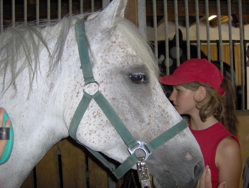 Mädchen und Pferd im Kinder Feriencamp