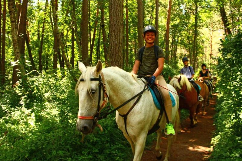 Ein Gruppe Reitschüler reitet im Wald aus bei den Reitcamps Steiermark