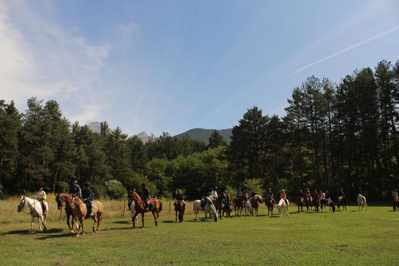  Eine Gruppe Reitschüler reitet aus bei dem Reiturlaub Tirol