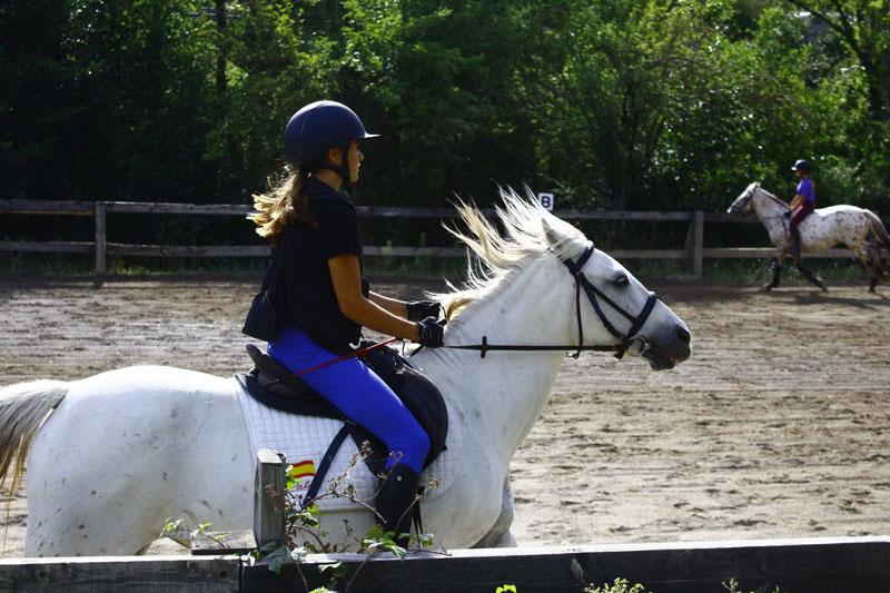 Ein Mädchen galoppiert auf einem weißen Pferd bei den Reitferien Oberösterreich