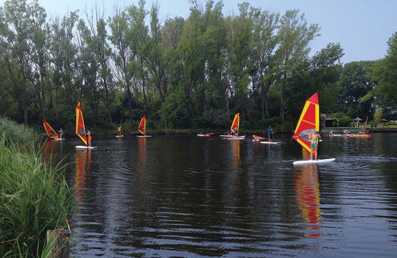 Viele Teilnehmer der Ferienbetreuung Burgenland üben Windsurfen auf dem Neusiedler See