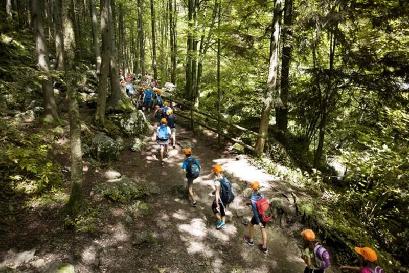 Eine große Gruppe Kinder wandert auf einem Pfad durch den Wald in der Nähe vom Sommercamp Attersee
