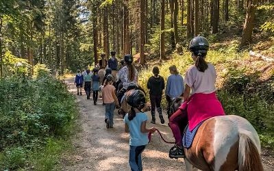 Anfänger-Reitferien im Bayerischen Wald Frühjahr - Bayerischer Wald
