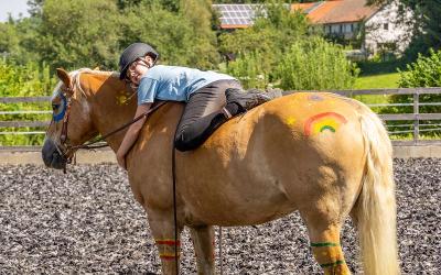 Anfänger-Reitferien im Bayerischen Wald Sommer - Bayerischer Wald
