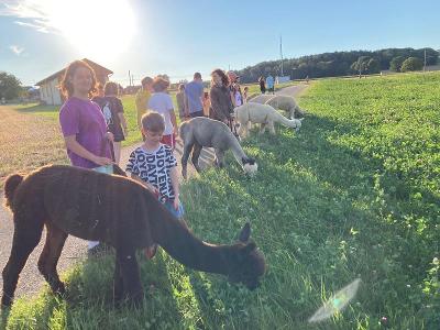 Outdoorcamp beim Attersee - Salzkammergut