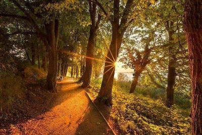 Oster-Naturerlebniscamp an der Mecklenburgischen Seenplatte - Müritz