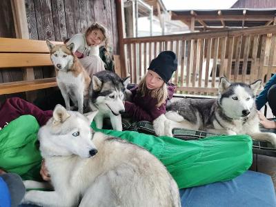 Wochenend-Huskycamp in Oberösterreich - Freistadt