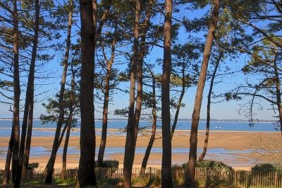 Französisch-Sprachreise Arcachon - Atlantikküste / Bucht von Biskaya