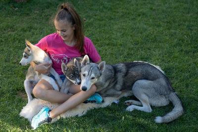 Husky-Girlscamp im Allgäu - Allgäuer Alpen