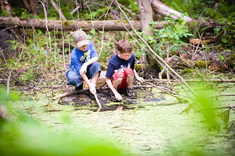 Natur-Camps 2026