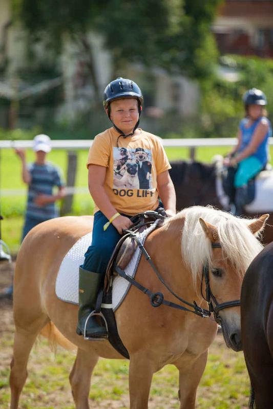 Reitferien Niederösterreich 2026