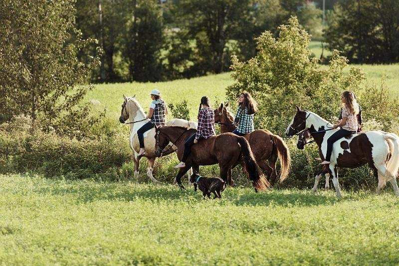 Reitferien Steiermark 2026