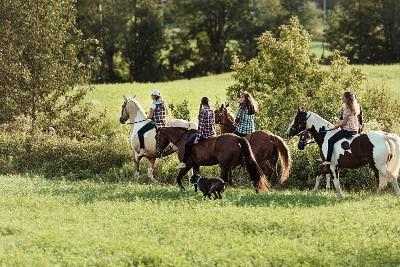 Reitferien Steiermark 2024