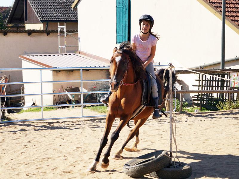 Reiturlaub Salzburg