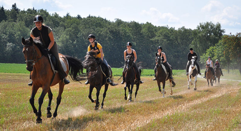 Gruppe reitet zusammen in Reitcamps Wien
