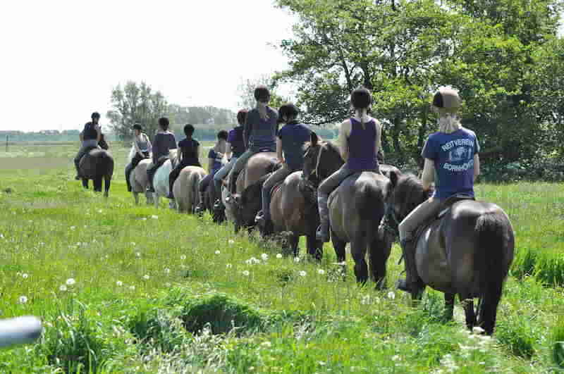 Reiten auf Wiese Reiturlaub Kärnten